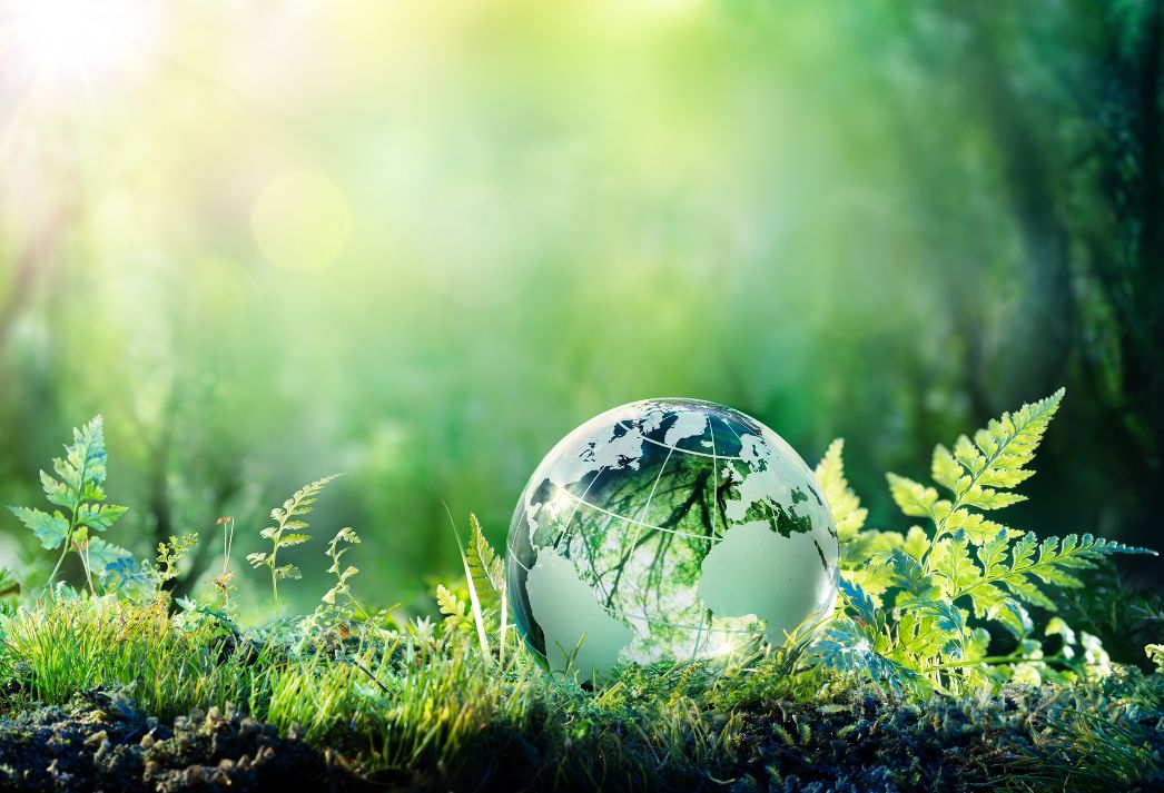 INICIATIVA ACT FOR GREEN